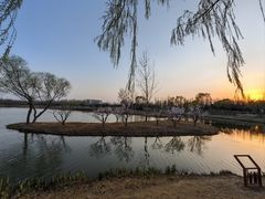 -东郊湿地公园