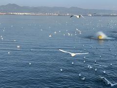 -海埂大坝