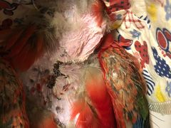 -雨林宠物医院 非犬猫异宠专科