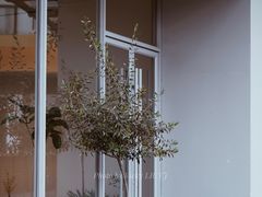-DEEP COFFEE(瑞光烘焙工厂店)