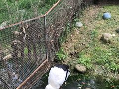-常州淹城野生动物世界
