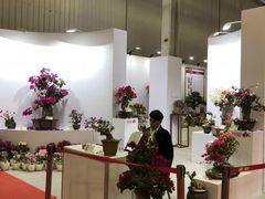 -东南花都花博园