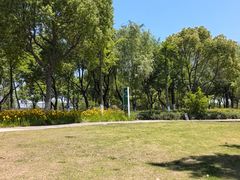 -九里河湿地公园