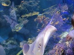 -华夏文旅海洋公园