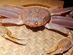 -蝉一日本料理(高新区店)
