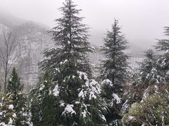 -鸡冠洞风景区