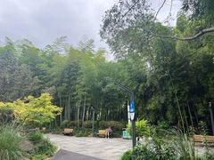 -苏州河梦清园环保主题公园