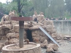 -西安秦岭野生动物园