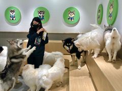 -瑞虹新天地月亮湾