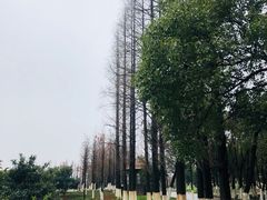 -乌村