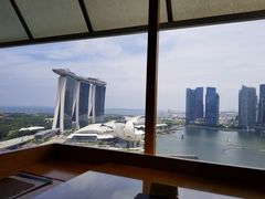 -新加坡丽思卡尔顿美年酒店