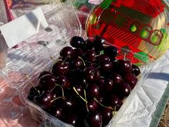 -春花秋色城市公园