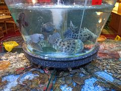 -德胜轩正宗顺德菜(宝安沙井会展中心店)