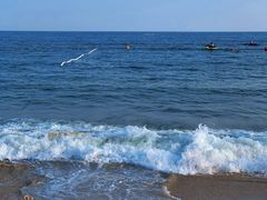 -大梅沙海滨公园