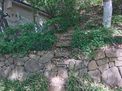 -杭州半山国家森林公园