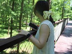 -黄海国家森林公园