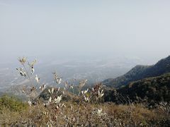 -阳台山自然风景区