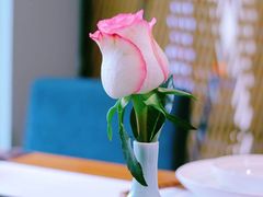 -荷风细雨·中国茶宴(碧云店)