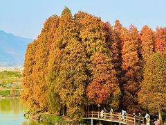 -星湖旅游景区七星岩