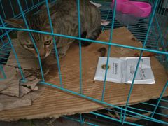 -JUKEBOX玖部音乐餐厅(华侨城店)