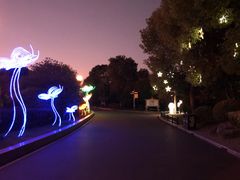 -上海欢乐谷-停车场