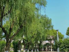 -太阳岛度假酒店