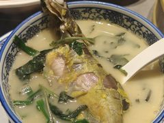 -贺庄·活鱼馆(珠吉路店)