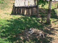 -西霞口神雕山野生动物世界