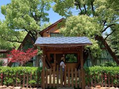 -陶祖圣境风景区