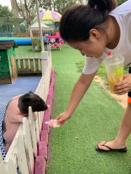 -萌宠亲子动物乐园(槐房万达店)