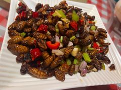 -燕青小馆(东园大厦店)