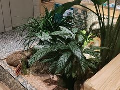 -相遇·川湘融合菜(丹阳吾悦广场店)