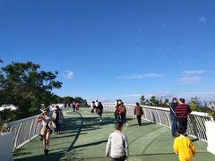 -飞凤山奥体公园