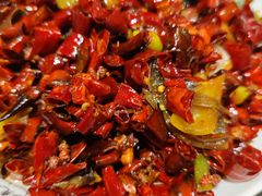 -福苗小骆驼烧烤(大唐不夜城店)