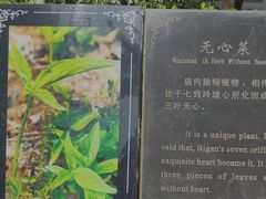 -比干庙景区