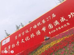 -曹州牡丹园