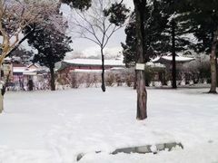 -景福宫