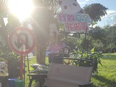 -利星行天竺之星汽车有限公司