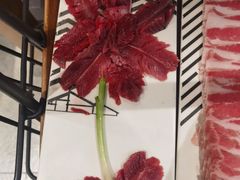 -蜀九香火锅(九眼桥店)