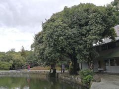 -水前寺成趣园