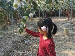 -广东花都香草世界旅游度假区