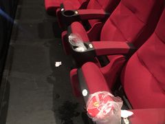 -万达影城(大明宫万达广场IMAX店)