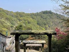 -宁波市保国寺古建筑博物馆