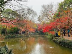 -秋霞圃