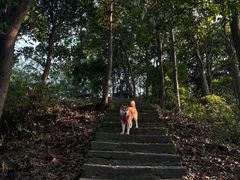 -午潮山国家森林公园