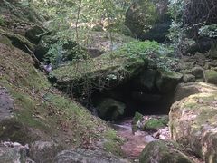 -陕西省红河谷森林公园