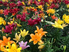 -长春公园(普阳街道)