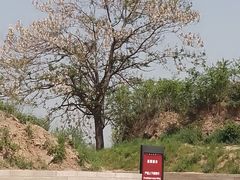 -汉长安城未央宫国家考古遗址公园