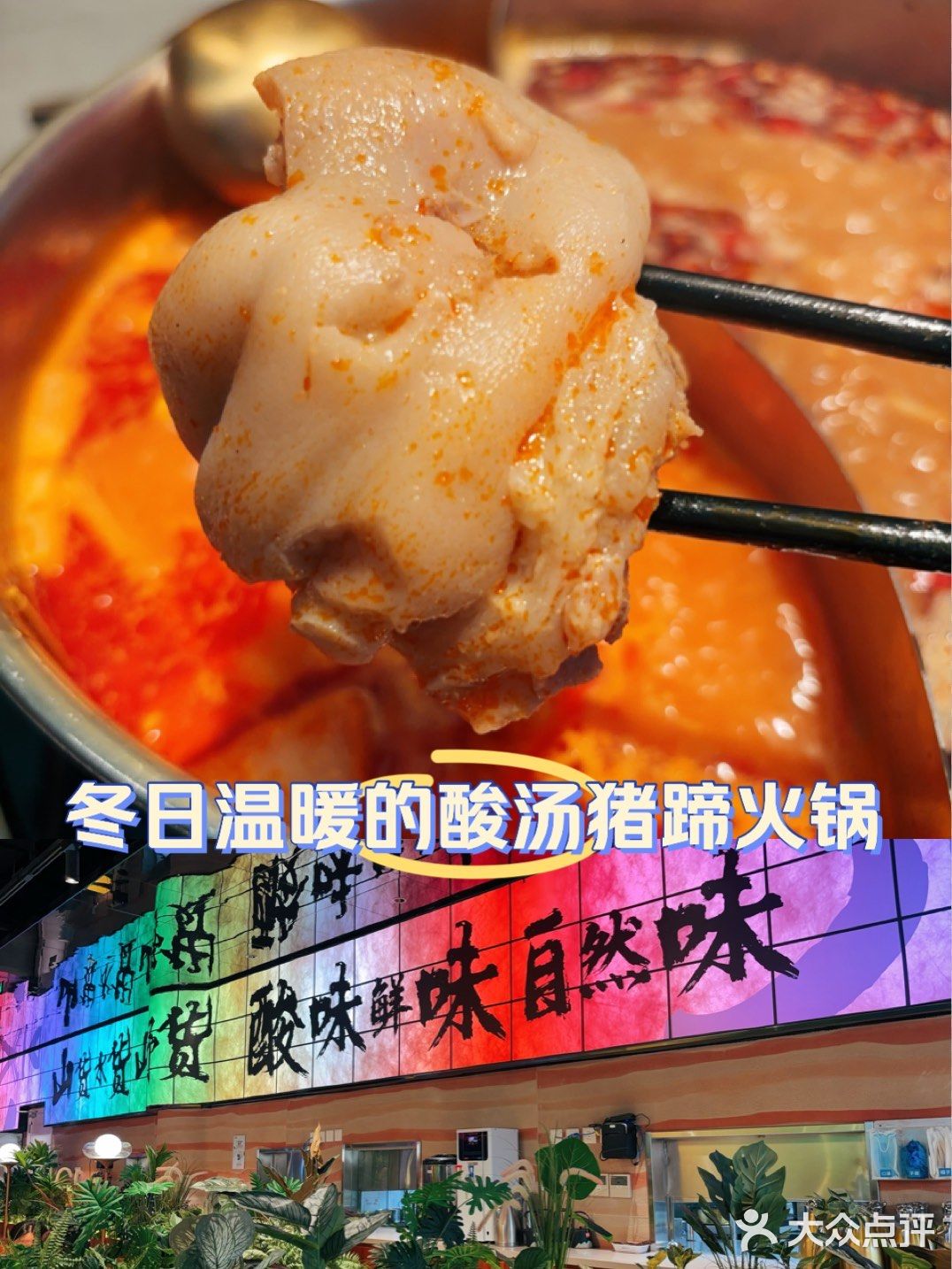 冬日温暖的酸汤猪蹄火锅