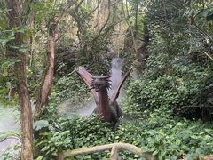 -呀诺达热带雨林
